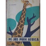 PE JOS PRIN AFRICA-A. LIUBOS-230752