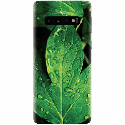 Husa silicon pentru Samsung Galaxy S10, Leaves And Dew foto