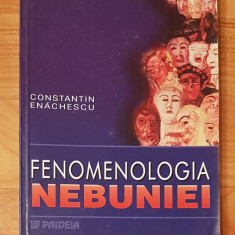 Fenomenologia nebuniei de Constantin Enachescu