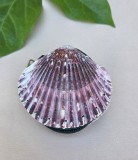 INEDITA SCOICA LUCRATA MANUAL TIP PORTOFEL