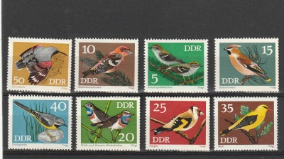 Fauna ,pasari. Germania (DDR). foto