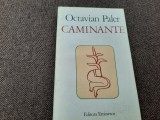 Caminante- Octavian Paler RF7/1