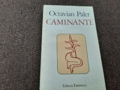 Caminante- Octavian Paler RF7/1