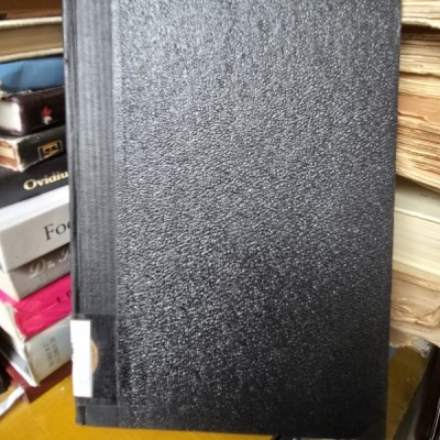 Bugetul Statului in Criza Economica - Ion Raducanu foto