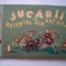Jucarii cu material din natura - A. Covaliu, C. Apostol