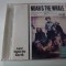 Noah and the whale, cd
