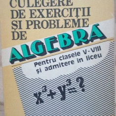 Culegere de exercitii si probleme de algebra- Petruta Gazdaru, Dorina Badescu