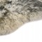 Foto  - 2