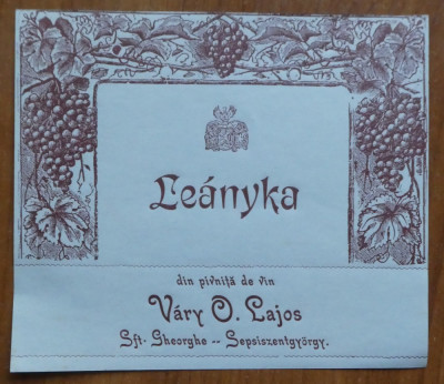 3 etichete interbelice de vin si o banderola din Sfantu Gheorghe , 1 foto