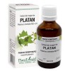 EXTRACT DIN MUGURI DE PLATAN 50ML, Plantextrakt