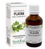 EXTRACT DIN MUGURI DE PLATAN 50ML, Plantextrakt