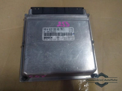 Calculator ecu Mercedes S-Class (1998-2005) [W220] a6131530379 foto