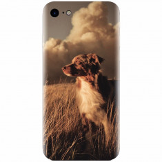 Husa silicon pentru Apple Iphone 7, Alone Dog Animal In Grass