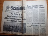 scanteia 4 noiembrie 1976-art. curtea de arges,insula mare a brailei,gheorgheni