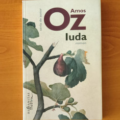Amos Oz - Iuda