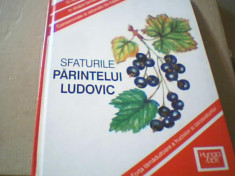 SFATURILE PARINTELUI LUDOVIC / O viata activa in slujba tamaduirii { 1998 } foto