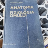 ANATOMIA SI FIZIOLOGIA OMULUI - N. SIMIONESCU