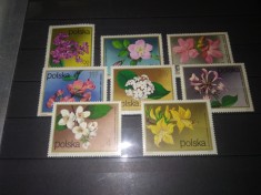 TIMBRE POLONIA FLORI foto