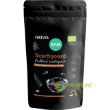 Scortisoara Ceylon Pulbere fara Gluten Ecologica/Bio 30g