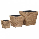 Set 3 Gossi Straturi Inaltate Gradina Zambila Apa, Ghivece Plastic Detașabile, Dimensiuni Diferite
