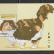 Guinea 1996- Pisici S/S 1v MNH