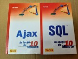 2 vol. din colectia &quot;...in lectii de 10 minute&quot; de la Teora (Phil Ballard - Ajax / Ben Forta - SQL) - informatica, IT, calculatoare, programare
