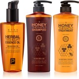 Daeng Gi Meo Ri Honey Therapy Set Regenerare Par Deteriorat Balsam Ulei