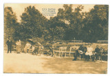 4627 - BUZIAS, Park, Romania - old postcard - unused, Necirculata, Printata