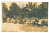 4627 - BUZIAS, Park, Romania - old postcard - unused, Necirculata, Printata