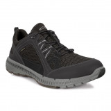 Pantofi Ecco Men&#039;s Terracruise II Gore-Tex Negru - Black
