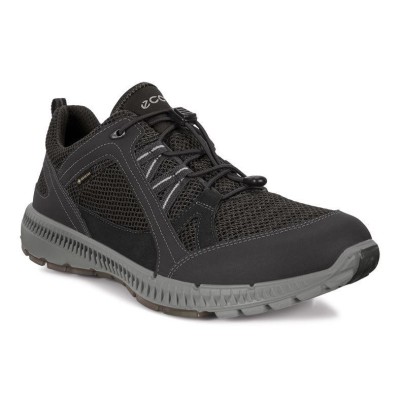 Pantofi Ecco Men&amp;#039;s Terracruise II Gore-Tex Negru - Black foto