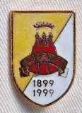 HERALDICA - Transilvania ? Insigna din alama cu email la cald