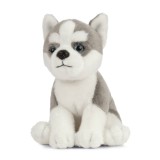 Pui de catel Husky de plus 16 cm (sezut) , Living Nature