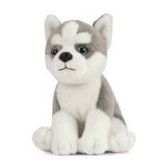 Pui de catel Husky de plus 16 cm (sezut) , Living Nature