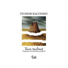 Turn înclinat - Paperback brosat - Teodor Baconschi - Curtea Veche