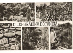 CPIB 22726 - CARTE POSTALA - CLUJ. GRADINA BOTANICA, MOZAIC