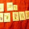 Set Argentina 1983-1985 - Flora , 8 valori