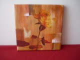 TABLOU PE PANZA 20/20 cm.