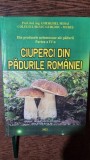 Ciuperci din padurile Romaniei - Gherghel Mihai Partea a IV-a