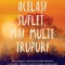 Acelasi suflet, mai multe trupuri - Brian Weiss