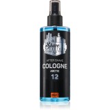 The Shave Factory Arctic after shave 250 ml