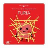 Prima mea carticica despre sentimente, Bebe invata, Furia