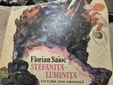 Stefanita Luminita, Florian Saioc