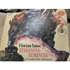 Stefanita Luminita, Florian Saioc