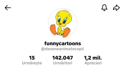 Cont tiktok 140k foto