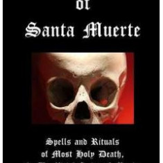 Grimoire of Santa Muerte - Sophia DiGregorio