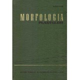 I. Ciobanu - Morfologia plantelor - 136581