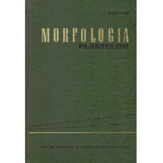 I. Ciobanu - Morfologia plantelor - 136581