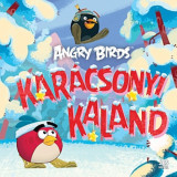 Angry Birds - Kar&aacute;csonyi kaland - Tomi Kontio