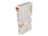 Ieşiri Digitală pentru Şină DIN IP20, 2 Canale, 12x100x69,8mm